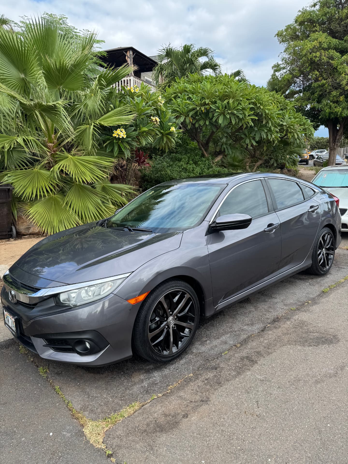 Dark grey Honda Civic sedan, freshly detailed, parked among tropical foliage on Maui